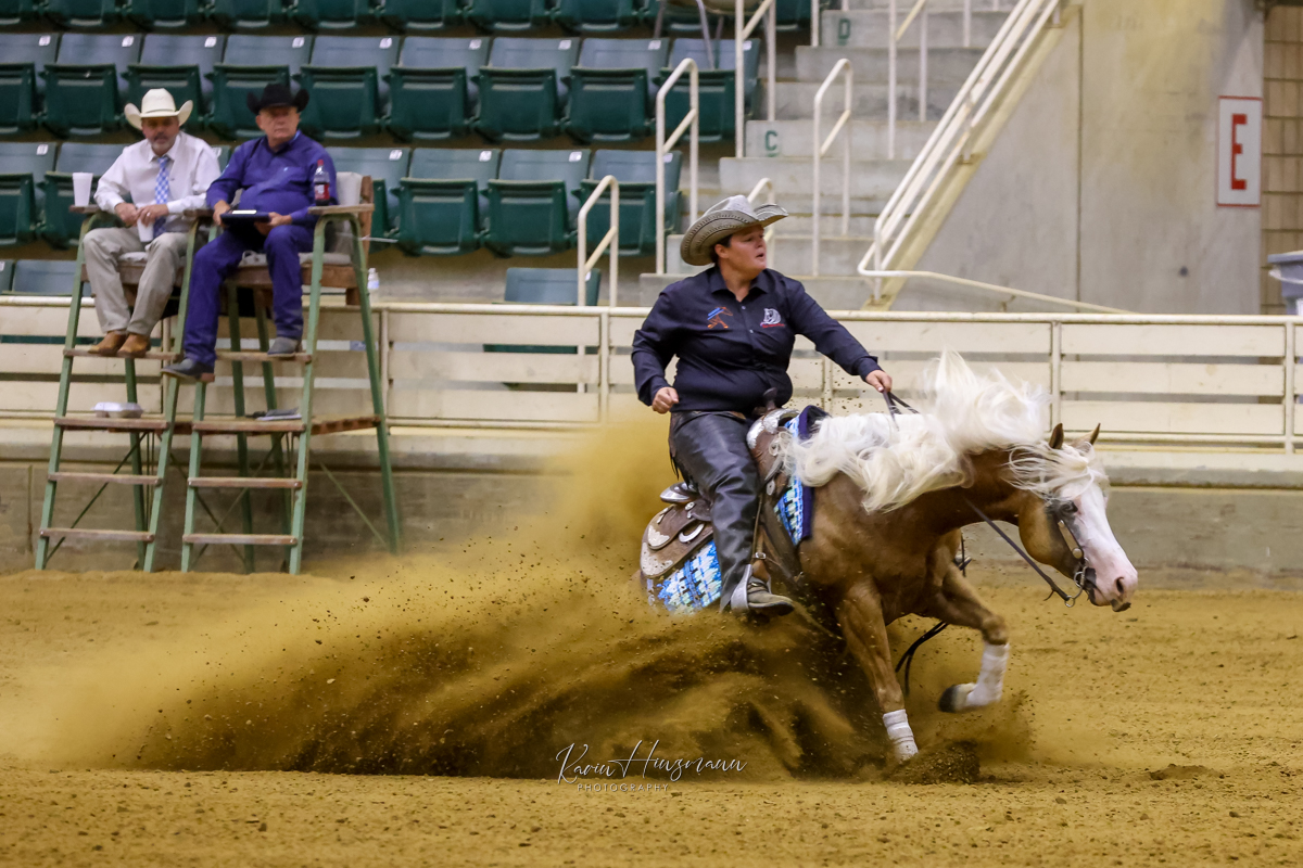 Horse and rider at a reining event
